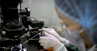 China plant Geldstrafen bis zu 100'000 Yuan (rund 15'000 Franken) f&uuml;r &Auml;nderungen am Erbgut von Babys.