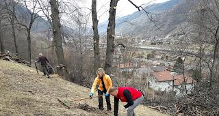 Wichtige Arbeit. Rund 20 Mitglieder der Cheschtinuzunft Eyholz befreiten am Samstag B&auml;ume vom Kastanienrindenkrebs.