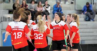 Knappe Niederlage f&uuml;r die UHC Visper Lions. 