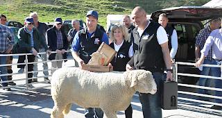 Stolz pr&auml;sentieren Josef und Yvonne Werlen mit WAS-Oberwallis-Pr&auml;sident Fabian Schwery (links) den "Mister Gampel" namens "Santos".