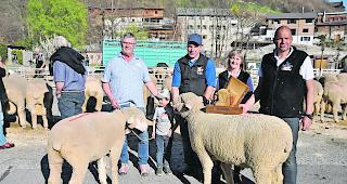 Strahlende Sieger. German Gruber und Enkel Tobias Steiner mit der &laquo;Miss Gampel&raquo; (links), daneben Verbandspr&auml;sident Fabian Schwery mit Yvonne und Josef Werlen, die den &laquo;Mister Gampel&raquo; pr&auml;sentieren.Fotos wb
