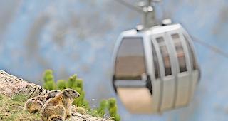 Bev&ouml;lkerung gefragt. Simon Bumann, designierter Direktor der Saastal Bergbahnen, appelliert an  Einheimische und Zweitwohnungsbesitzer, sich zur Hannigbahn zu bekennen und eine Finanzgesellschaft zu gr&uuml;nden, um deren Neubau zu realisieren.