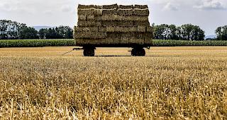 Die R&uuml;ckst&auml;nde auf Bio-H&ouml;fen gelangen durch Verfrachtungen von herk&ouml;mmlichen Betrieben auf die Bio-&Auml;cker.