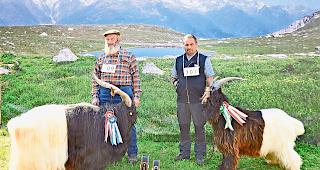 Pr&auml;miert. Edwin Eggel (links) mit dem &laquo;Mister&raquo;, neben ihm pr&auml;sentiert Fernando Steiner den &laquo;Junior-Mister&raquo;.