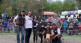 &laquo;Diabolo&raquo; ist Siegerin am diesj&auml;hrigen Vifra-Match.