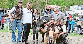 Siegerin Zweitmelken. &laquo;Diabolo&raquo; mit Besitzerin Anja Bregy mit OK-Chef Medard Bayard sowie Silvan, Adolf, Ralf und Patrick Bregy, Unterems.