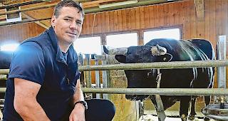 Nahe dran. Silvan Abgottspon pflegt auch K&uuml;he von Walliser Z&uuml;chtern.Fotos WB&nbsp;