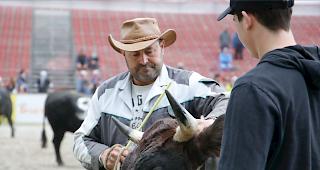 Das Kantonale 2019 ist am Samstag mit den K&auml;mpfen der Rinder und den Zweitmelken geb&uuml;hrend lanciert worden. 