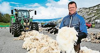 Friedrich Baur bei der Wollannahme in Turtmann.