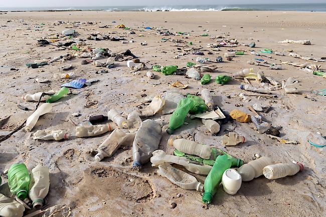 Uno warnt: Bereits im Jahr 2050 könnte in den Weltmeeren mehr Plastik treiben als Fische darin schwimmen.  