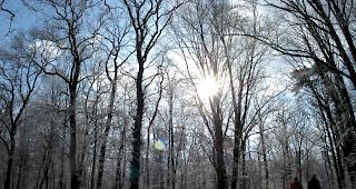 In der Schweiz ist es im Winter nahezu unm&ouml;glich, die von der Weltgesundheitsorganisation WHO empfohlene t&auml;gliche Dosis von 0,024 Milligramm an Vitamin D zu produzieren.  