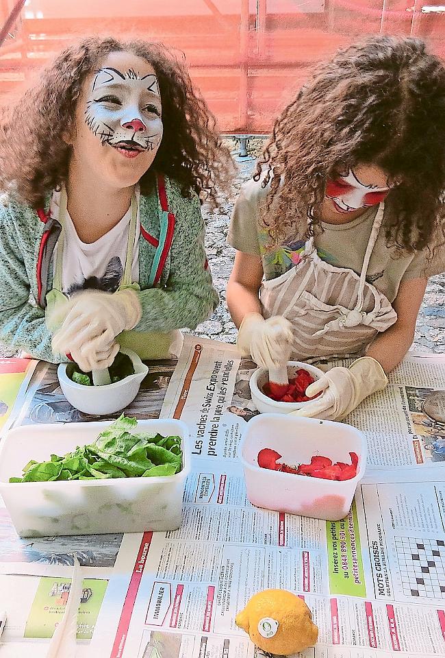 Erlebnisreich. Ein Museum erleben – auch für Kinder stets ein ­Erlebnis und am kommenden Sonntag im Walliser Naturmuseum möglich.Foto Walliser Kantonsmuseen