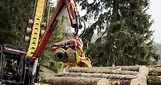 2018 ernteten die Schweizer Forstbetriebe mehr Holz als noch ein Jahr zuvor.