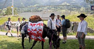 Von Luzern &uuml;ber die Grimsel ins Goms und nach Raron: zehn Kollegen unterwegs.