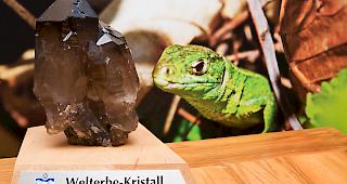 Die Stiftung Unesco-Welterbe Swiss Alps Jungfrau-Aletsch macht sich abermals auf die Suche nach innovativen Projekten.