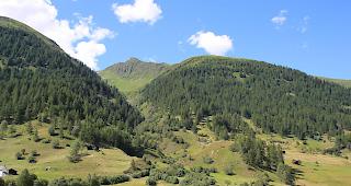Am Montagnachmittag wurde eine 59-j&auml;hrige Frau aus dem Kanton Aargau auf dem Gommer H&ouml;henweg von einem herunterst&uuml;rzenden Baum getroffen. Die Wanderin verstarb noch auf der Unfallstelle.