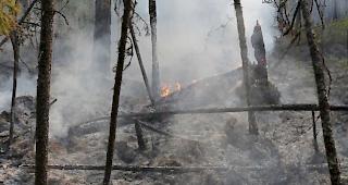 In den Waldbrandgebieten in Sibirien k&auml;mpfen weiter Tausende Einsatzkr&auml;fte gegen die Feuersbrunst. 