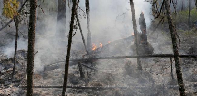 In den Waldbrandgebieten in Sibirien kämpfen weiter Tausende Einsatzkräfte gegen die Feuersbrunst. 