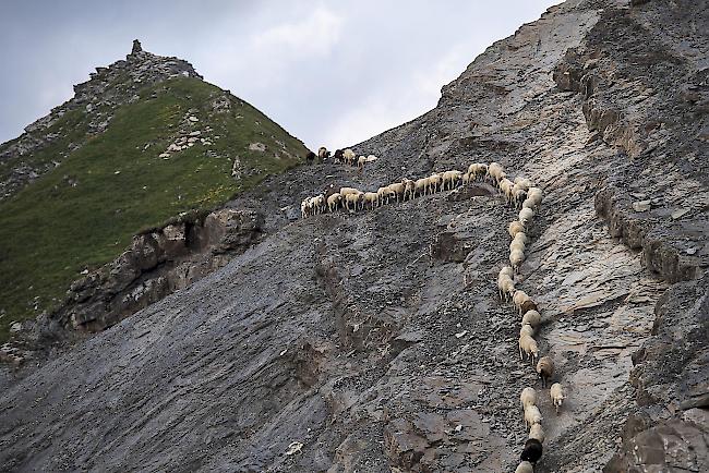 Auf ihrem Weg mussten sie in Einerkolonne alpines Gelände durchqueren.
