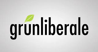Die Gr&uuml;nliberalen gehen im Wallis mit einer Liste in die Nationalratswahlen. Aus dem Oberwallis stellen sich Tamar Hosennen-Gerber, Roger Ambort und Nathan Metthez zur Verf&uuml;gung.