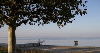 Auf dem Bodensee wurden zwei Personen bei einer Bootskollision verletzt. 