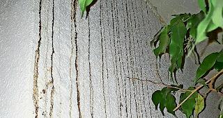 Wasserschaden. Das Problem ist der Schulleitung bekannt.Foto wb