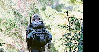 Pirsch. Im Wallis werden w&auml;hrend der diesj&auml;hrigen Hochjagd im Herbst Teilgebiete der Eidgen&ouml;ssischen Jagdbanngebiete Aletsch und Haut de Cry-Derborence f&uuml;r die Jagd &shy;freigegeben.Foto wb