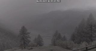 Schneebedeckt: Hungerberg/Oberwald heute morgen.