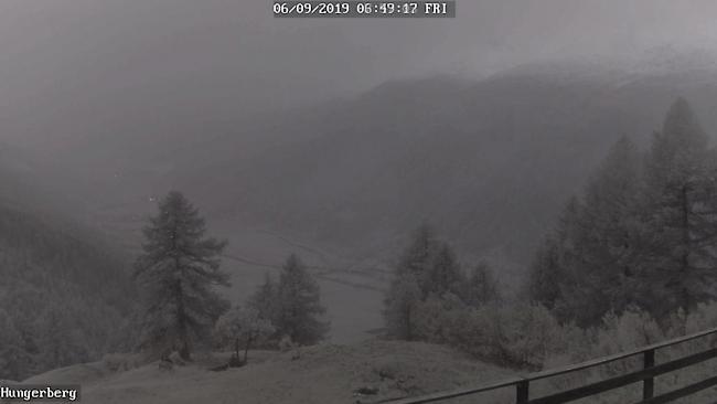 Schneebedeckt: Hungerberg/Oberwald heute morgen.