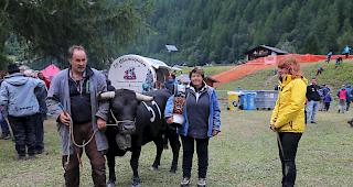 Die Siegerin aus dem Oberwallis: &laquo;Ciara&raquo; von Renata und Elmar Ruffiner aus Turtmann.