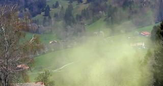 Das Allergiezentrum r&auml;t Allergikerinnen und Allergikern, die Pollen-Pause nun zu nutzen und eine Desensibiliserung zu beginnen. 