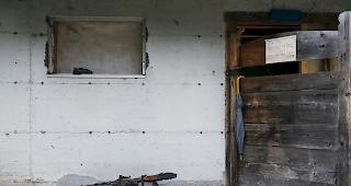 Kurswechsel eingel&auml;utet. Minderheitssprecher Franz Ruppen (SVP), Vorstandsmitglied des Vereins "Lebensraum Wallis ohne Grossraubtiere", hatte vor dem R&uuml;ckzug der W&ouml;lfe in die Wildtierschutzgebiete gewarnt.