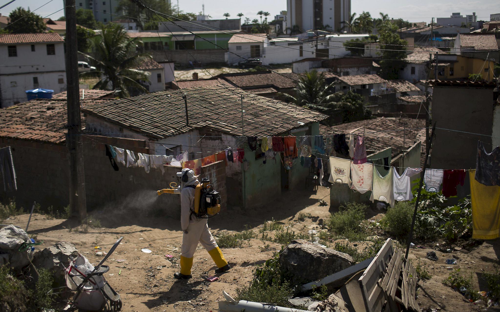 Zahl Der Dengue-Fälle In Brasilien Steigt Um 600 Prozent | 1815.ch