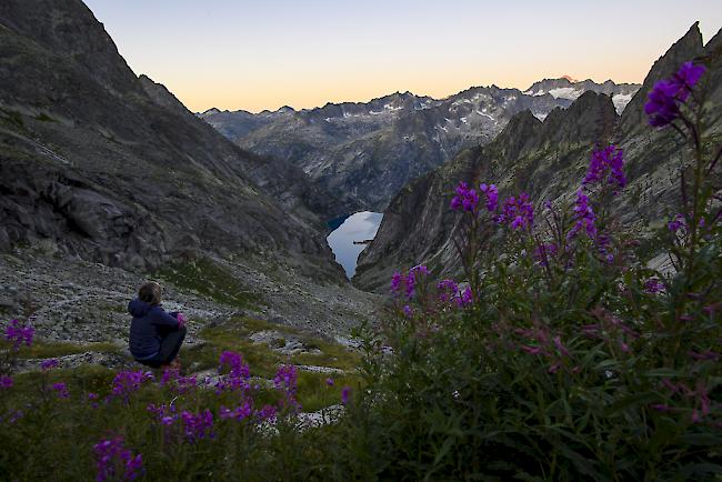 Mit dem Klimawandel wird sich der Boden  im alpinen Raum verändern.