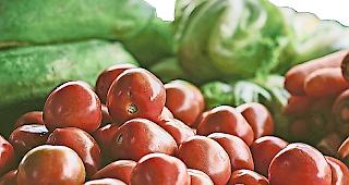 Der Bundesrat w&uuml;nscht sich, dass in der Schweiz mehr Gem&uuml;se gegessen wird.Foto unsplash.com