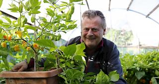 Seit rund zehn Jahren widmet sich Patrick In-Albon fast das ganze &uuml;ber der Chili-Zucht. 