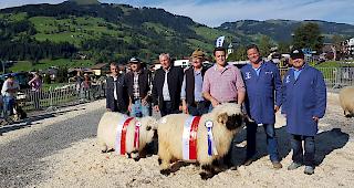 Vertreter vom Tiroler Schafzuchtverband Besitzer der Miss, Obmann Krall Josef, Besitzer des Mister sowie die Experten Pfammatter Erwin und Henzen Thomas.