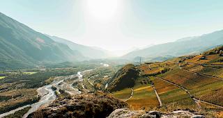 Die Lage der Weinwirtschaft im Wallis ist besorgniserregend. 