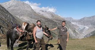 Hoch &uuml;ber dem Aletschgletscher: Das J&auml;gerduo Fredy Kummer und Peter Schwitter unterwegs mit Maultier und erlegtem Wild.