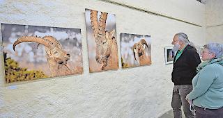 Abwechslungsreich. Vielfalt ist beim Fototeam Brig &ndash; hier Anny Kuonen und Antonino Catalano in der aktuellen Ausstellung im Alten Werkhof von Brig-Glis vor Fotos von Thomas Margelist &ndash; angesagt.