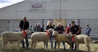 Die Siegerschafe mit ihren Z&uuml;chtern beim abschliessenden Gesamtbild.