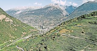 Der Weinberg bei Visperterminen erstreckt sich vom Talboden bei der Vispa bis hinauf auf 1150 H&ouml;henmeter.