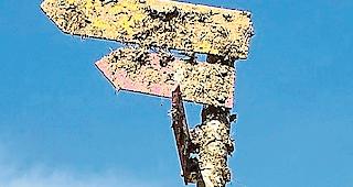 Da ging etwas in die Hose: Ein Wegweiser am Natischerberg wurde mit G&uuml;lle &laquo;versch&ouml;nert&raquo;.