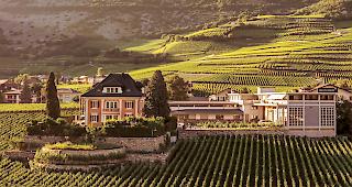 Syrah "Rh&ocirc;ne Saga" 2017, Lux Vina von Domaines Chevaliers gewinnt als einziger Schweizer Wein einen Master Titel.