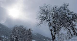 Im s&uuml;dlichen Wallis hat es in den vergangenen acht Tagen teils ergiebig geschneit. 