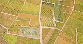 Auf Irrwegen. Die Lage ist so ernst, dass es Provins ab morgen vielleicht nicht mehr so geben wird, wie man sie nun bald 90 Jahre lang kennt.Foto Keystone