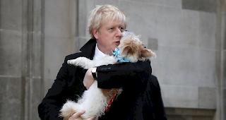 Der britische Premierminister und konservative Parteichef Boris Johnson h&auml;lt nach der Wahl in der Methodist Central Hall seinen Hund Dilyn fest.