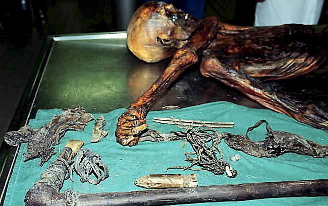 Schweizer Wissenschaftler haben ein weiteres Rätsel rund um die Gletschermumie Ötzi gelöst. Die Schnur, die der Mann aus dem Eis in seinem Köcher mit sich führte, dürfte eine Sehne für seinen Bogen gewesen sein, teilte das Südtiroler Archäologiemuseum am Dienstag mit.