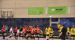 Jubel. Nach dem Treffer in der Verl&auml;ngerung feiern die Visper Lions den wichtigen Heimsieg gegen den UHC Appenzell.