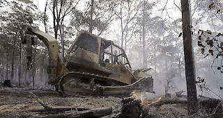 Seit Beginn der grossen Feuer im Oktober verbrannten in ganz Australien mehr als zehn Millionen Hektar Land. Tausende H&auml;user wurden zerst&ouml;rt. Nach Sch&auml;tzungen von Experten sollen mindestens eine Milliarde Tiere get&ouml;tet worden sein.
